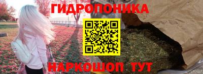 крисы Северобайкальск