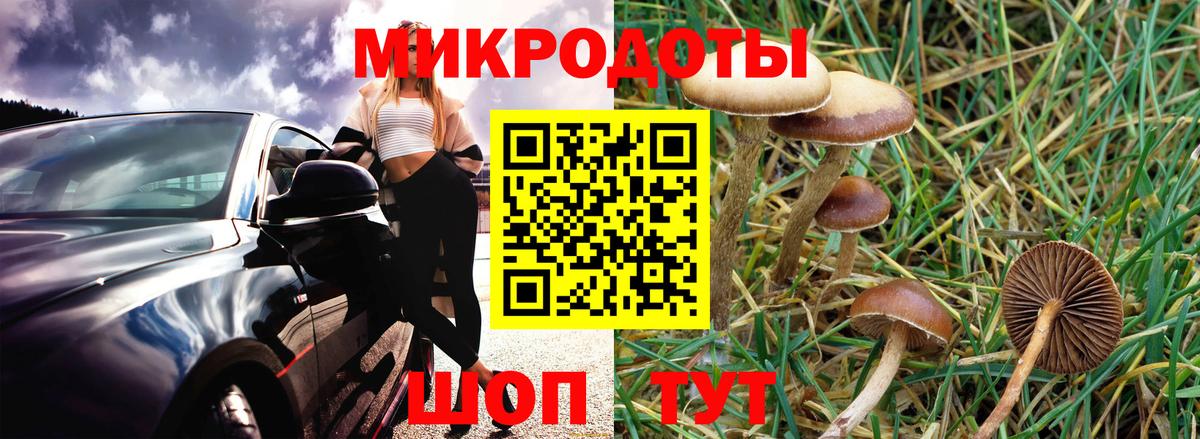 Армавир  Галлюциногенные грибы Magic Shrooms  Вход с VPN 